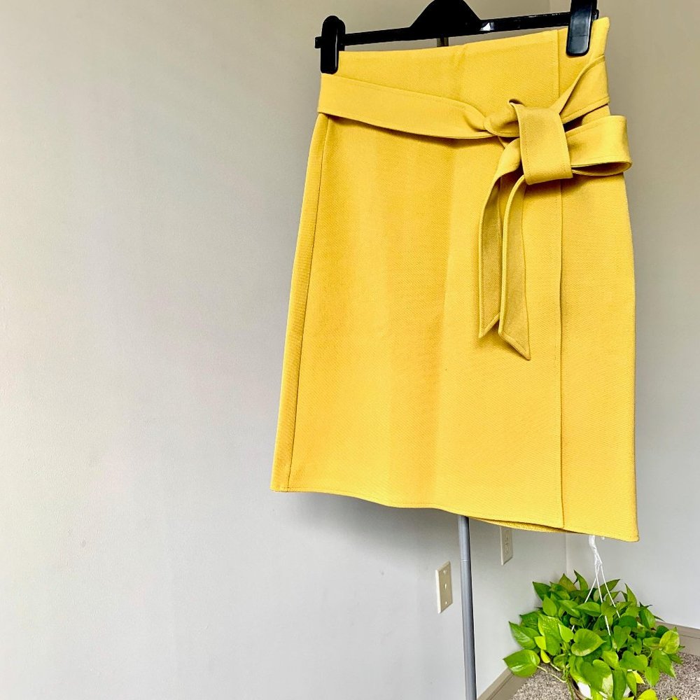 Ann Taylor skirt